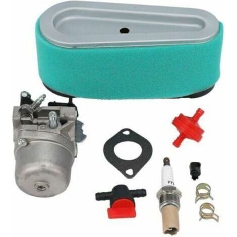 Vergaser für 12,5 PS Briggs&Stratton LMT 5-4993 Aufsitzrasenmäher (1/4)