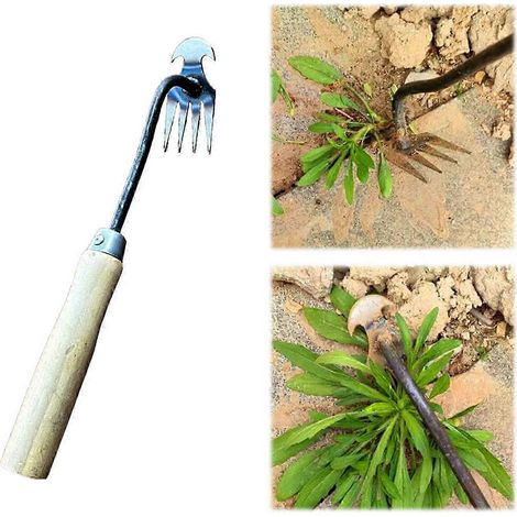 Nouvel outil de désherbage amélioré, arrache-mauvaises herbes en acier au manganèse forgé, 4 dents, outil double usage, outil d'arrachage manuel haute résistance (1/4)