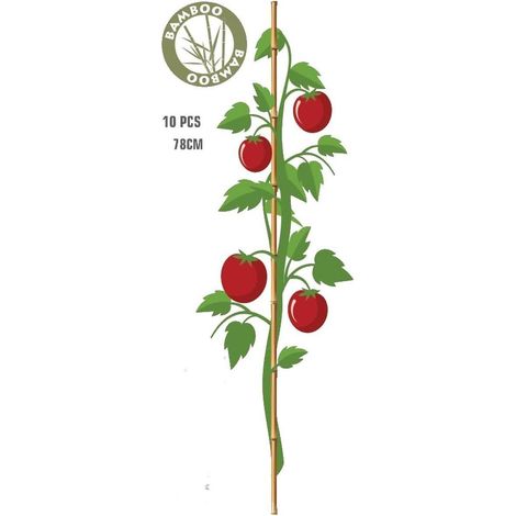 Progarden Supports en bambou 78 cm brun, lot de 10 (1/3)