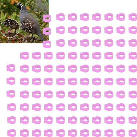 Lot de 100 bagues d'identification pour pigeons (8 mm), sans inscription, rose. (1/5)