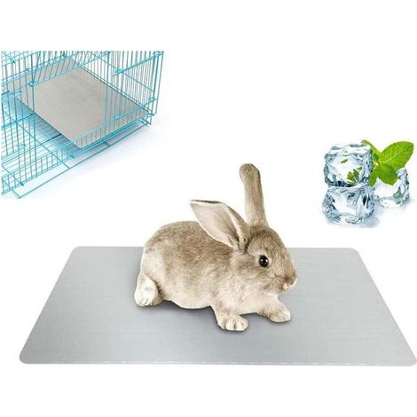 tapis rafraîchissant pour lapins et autres animaux de compagnie (chiots, chatons, cochons d'Inde, chats) – 30 x 20 cm (1/4)