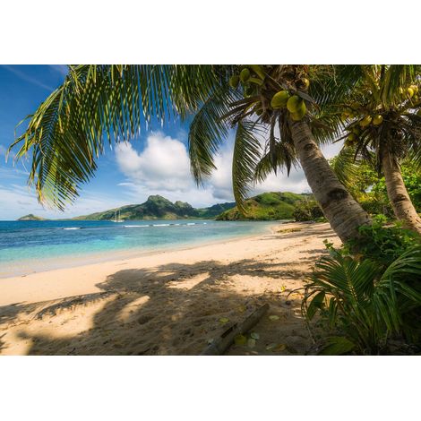 papier peint panoramique plage vert et bleu  - Komar (1/2)