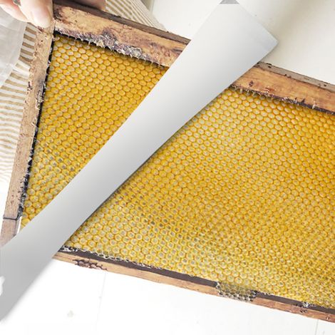 Couteau multifonctionnel en acier inoxydable pour couper le miel et grattoir, outil apicole (1/5)