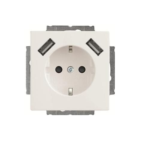Busch-Jaeger SCHUKO-2x USB Steckdose 20 EUCB2USB-84 (1/5)