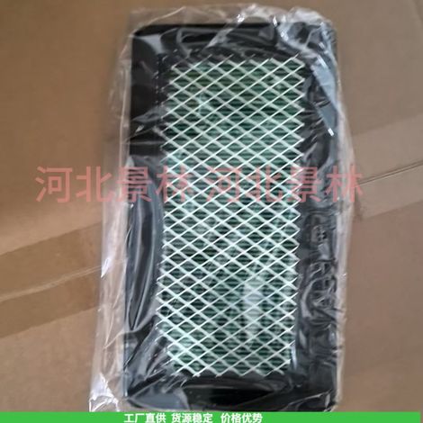 17211-Z0A-013 17211-Z3S-003 GCV520 GCV530 Air Filter 17218-ZOA-810 (1/4)