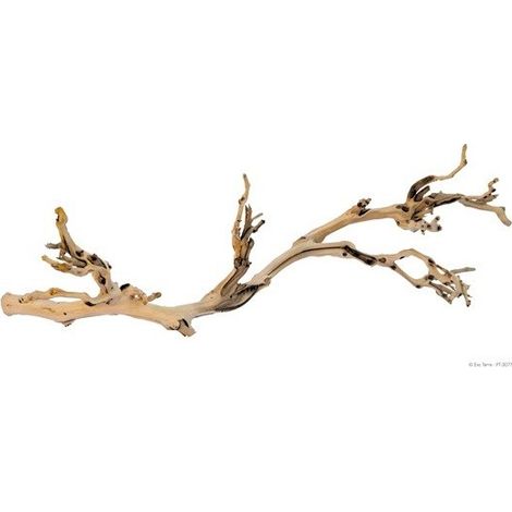 Direction de la fort d'Exo Terra Rama L 60 cm