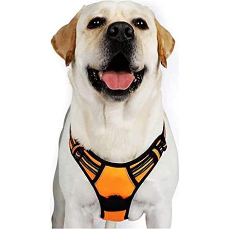 Harnais chien anti-traction Rabbitgoo XL orange réglable réfléchissant attache avant (1/5)