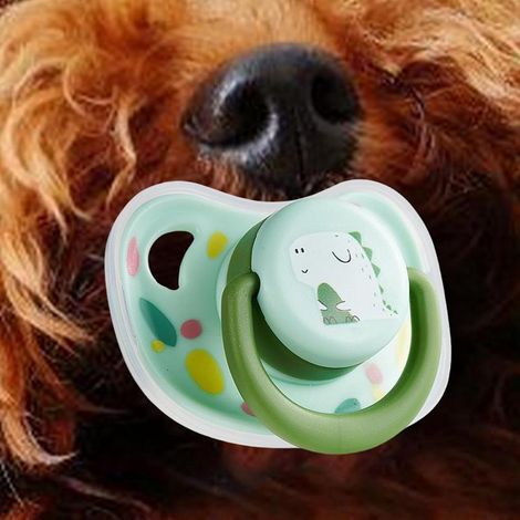 Tétine pour petit chien, jouet de dentition durable et apaisant pour chiot, accessoire interactif contre le stress et l'ennui