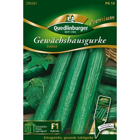 Quedlinburger Saatgut – Concombre de serre « Louisa » – Graines de légumes, hybride, fruits de 30 à 35 cm (1/2)