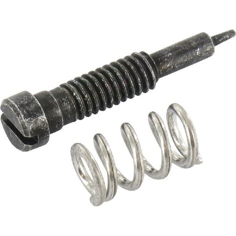 Vis BRIGGS ET STRATTON 493765