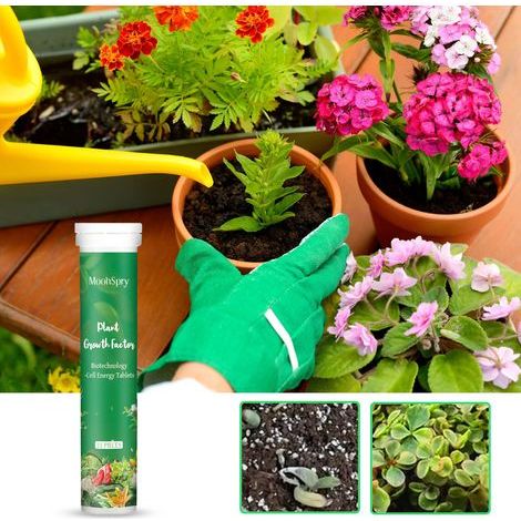 Comprimés d'engrais pour plantes générales - Comprimés d'engrais pour plantes d'intérieur - Appât de croissance des plantes, comprimés de phytonutriments/1 pièces (1/4)