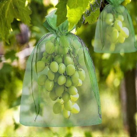 Sacs de protection pour fruits en filet avec cordon de serrage, 30 x 20 cm et 10 x 15 cm, pochettes en organza réutilisables pour le jardin et la conservation des récoltes (15 cm). (1/3)
