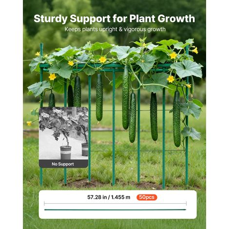 Tuteur Plante 1,45 m Tuteur Plante Grimpante 50 PCS Tuteurs à Tomates Jardin pour Soutien Plantes Grimpantes Légumes Extérieur, Mét… (1/5)
