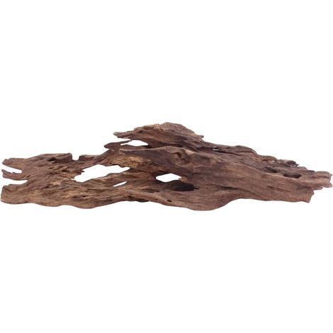 L Honey Comb Wurzel Nr.5136 Holz Deko Aquascaping