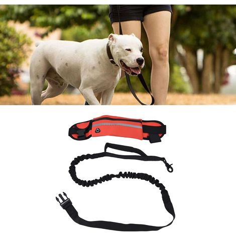 Sportliche Bauchtasche, Hundeleine, reflektierendes und explosionsgeschütztes elastisches Laufleinen-Set, rot (1/5)