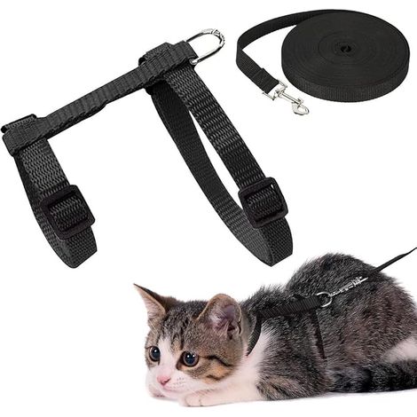 Harnais Pour Chats, Harnais Et Laisse Réglable Noir 120X1Cm, Pour Chaton Et Petits Animaux, Promenade, Ensemble Harnais Laisse (1/5)