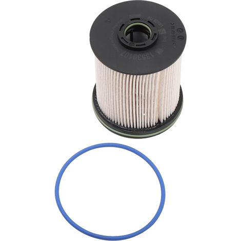2-teiliges GM Originalteile TP1015 (13539108) Kraftstofffilter-Kit (einschließlich Dichtungen) (1/4)