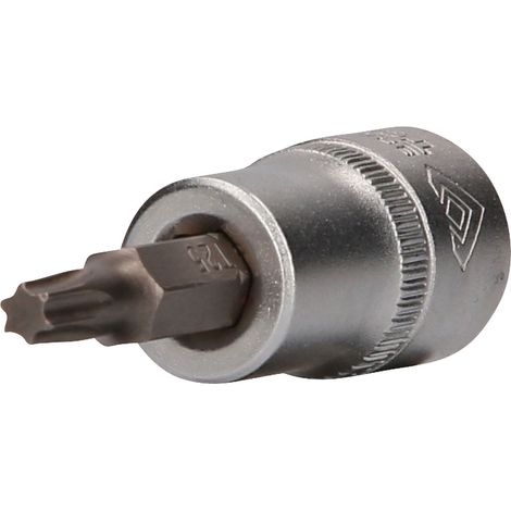BRILLIANT TOOLS 3/8" Vaso Torx T25 - BT021942 (1/4)