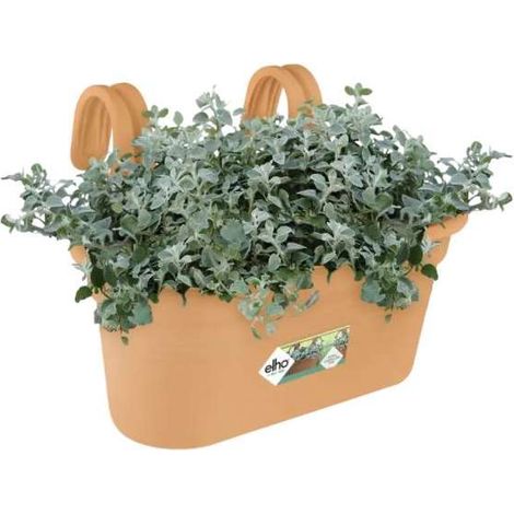 FIORIERA GREEN BASICS EASY HANGER LARGE MILD TERRA ELHO (1/4)