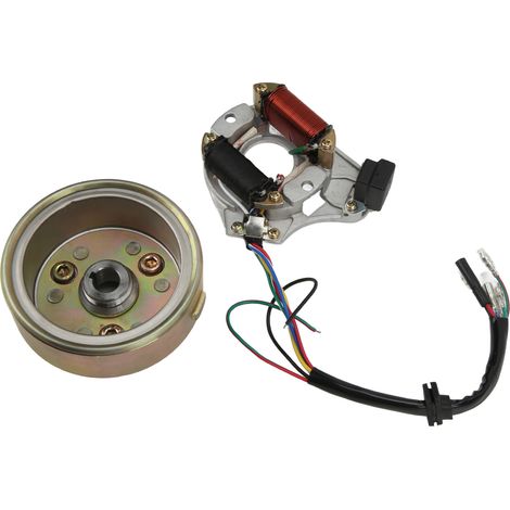 Volant Magneto Stator Rotor Kit Moteur 110CC 125CC PIT PRO Piste Moto Cross (1/5)