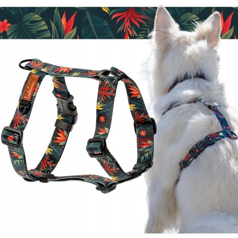 Harnais de protection pour chiens de taille moyenne M 20 mm Ukory VERT Jack Russell (1/5)