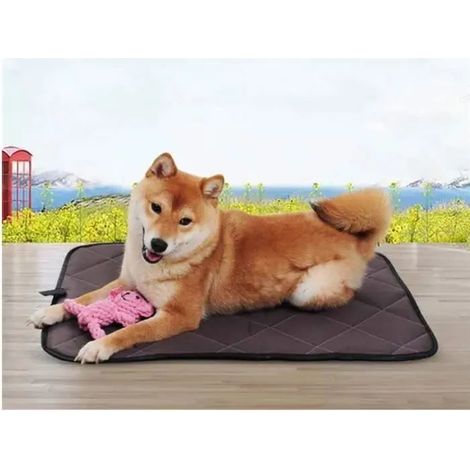 Tapis Éducateur pour Chien Lavable – Alèse Imperméable pour Propreté, Siège Voiture ou Panier (35×49 cm) multicol TAPIS DE PROPRETE (1/4)
