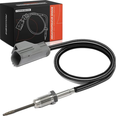 Capteur de température, taille de filetage M12x1,25, longueur de câble 435 mm, 2 contacts de connecteur, couleur de connecteur blanche, boîtier de connecteur angulaire (1/5)