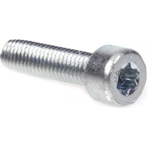 Vis Torx 27 M5 x 20 pour tronçonneuse Stihl MS251 (1/4)