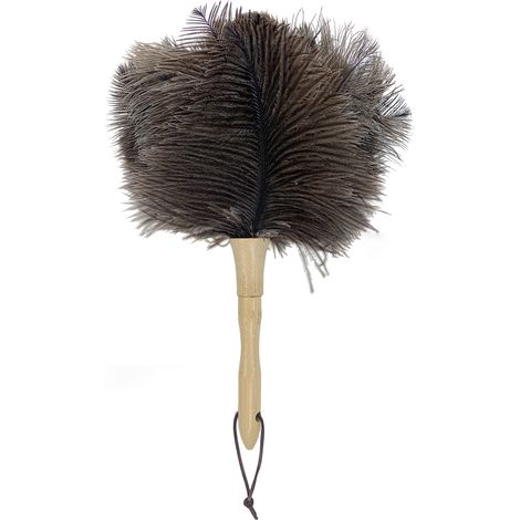 Plumeau d'autruche, chausse-pied, manche en bois antistatique (1/5)