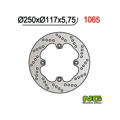 Disco freno posteriore NG per Suzuki AN 650 Burgman 2002-2003, 250x117x5,7 mm