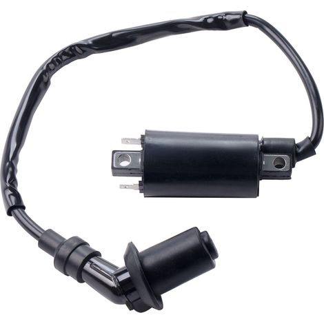 Ignition coil parts with caps for Yamaha Virago 250 motorcycles (1/3)