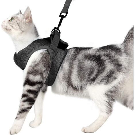 Ensemble harnais et laisse incassables pour chat - Ensemble collier et harnais confortables pour chats et chatons - Gris - Taille M (1/5)