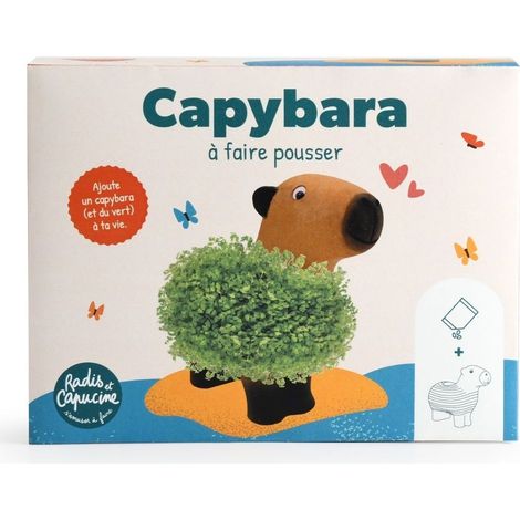 Capybara terre cuite poreuse avec graines de chia