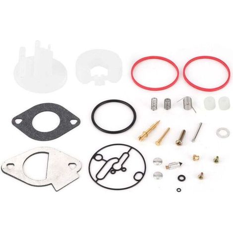 Kit de réparation de carburateur pour Briggs Stratton 796184 796081 790727 Master Overhaul Nikki (1/3)