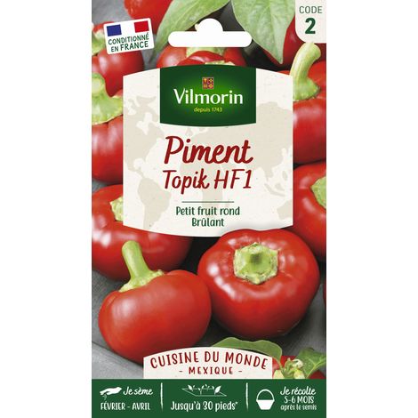 Piment Topik HF1 - Cuisine du Monde Vilmorin (1/2)
