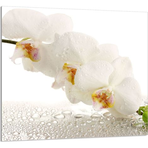 GLASPLATTE FÜR KÜCHE 65x60 Orchidee