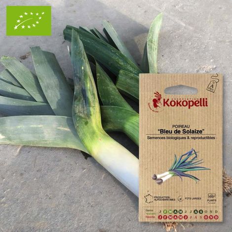 Poireau Bleu de Solaise