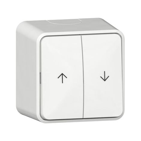 Gira Wipp-Jalousieschalter 10AX 250V Reinweiß Pfeile Montageplatte