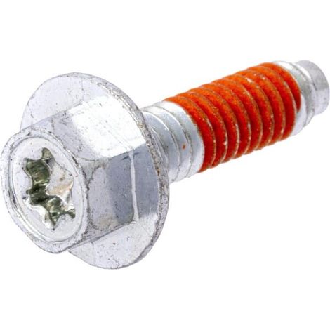 Vis BRIGGS ET STRATTON 699816 (1/2)