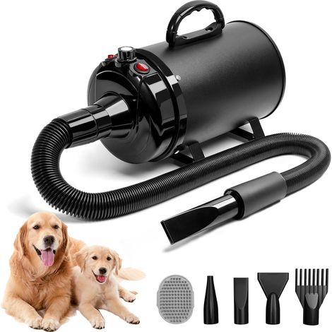 Pulseur pour Chien 3800 W/5,2 HP, À faible bruit (1/5)