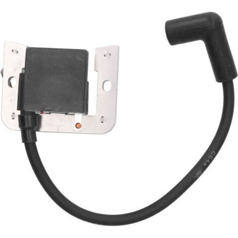 Bougie d'Allumage Compatible CH18 CH25 24-584-36S pour Moteur de Remplacement Pièce Auto - (1/5)