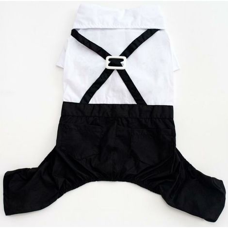 Costume col brillant pour homme, chat, Teddy, chiot, vêtements, robe de mariage, fausse chemise deux pièces, smoking（XL） (1/5)