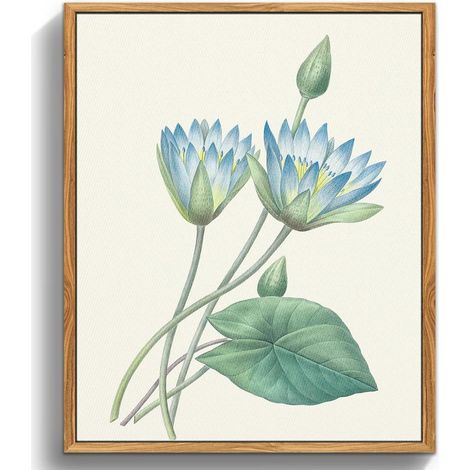 Vintage Botanische Leinwand Bilder mit Holzrahmen 30x40 cm Blauer Lotus (1/5)