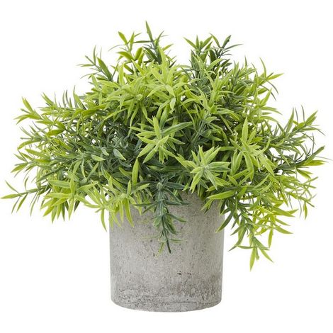 Small Bamboo Plant in Pot - Plastic - Height 20 cm - Green/Grey