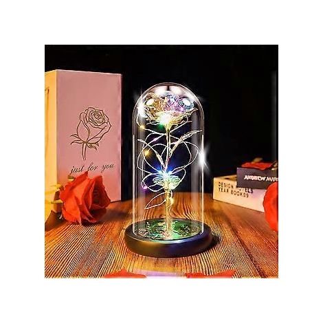 Die Schöne und das Biest Rosenlampe in der Glaskuppel, künstliche Ewige Rose mit LED-Licht, Geschenk für Frauen und Mädchen zum Geburtstag, Valentinstag, Motten