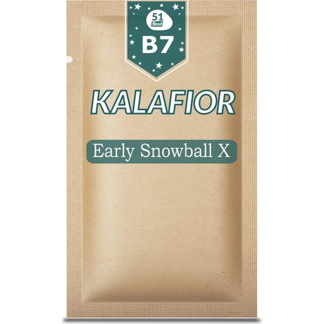 51Seed B07 CAVOLFIORE PRECOCE PALLA DI NEVE X 1G