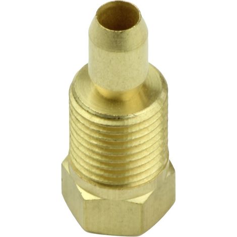 BOSCH Zündgasverschraubung D4 SIT09-58-030, 5481221 (1/2)
