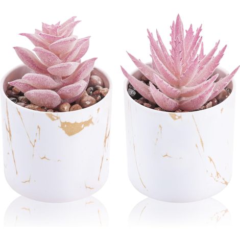 Lot de 2 mini plantes succulentes artificielles pour la maison, le bureau, les accessoires de bureau pour femme (1/5)