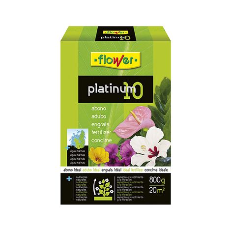 Blume pathinum granuliertes Symp