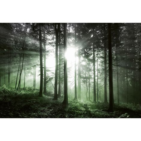 Papier peint panoramique foret style brise du matin | Tapisserie panoramique nature vert et noir | Papier peint panoramique arbre couloir et chambre - 384 X 260 cm (8 pièces) (1/2)